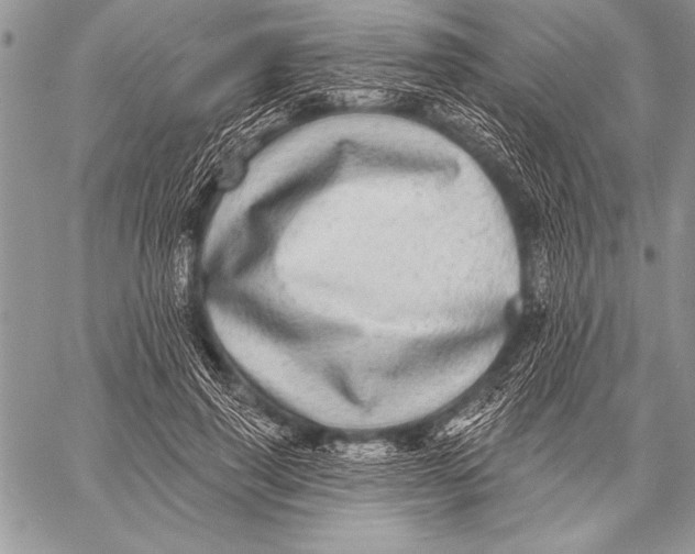 X0000058120645200510171311