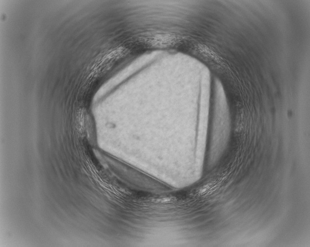 X0000058120646200510171311