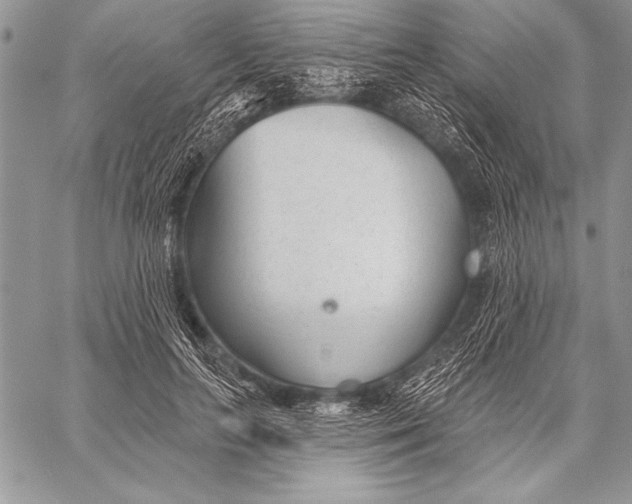 X0000058120647200510171311