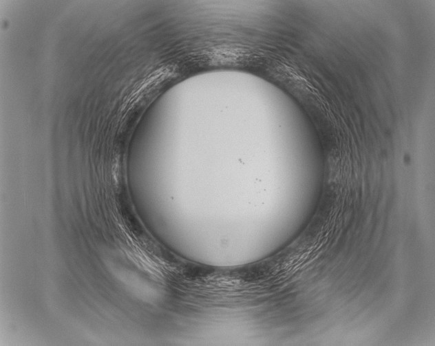 X0000058120648200510171311