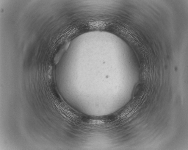 X0000058120649200510171311