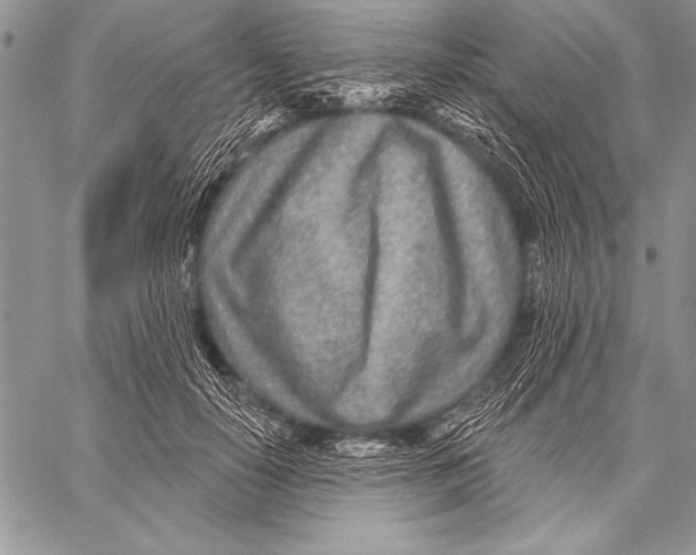 X0000058120650200510171311