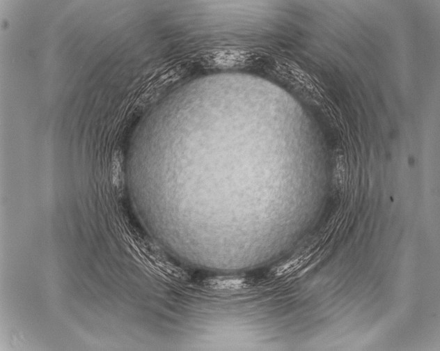 X0000058120651200510171311