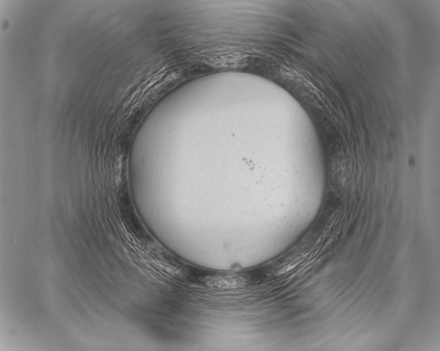 X0000058120652200510171311