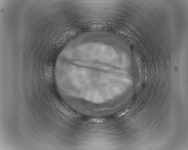 X0000058120654200510171311