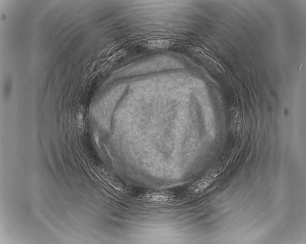 X0000058120655200510171311