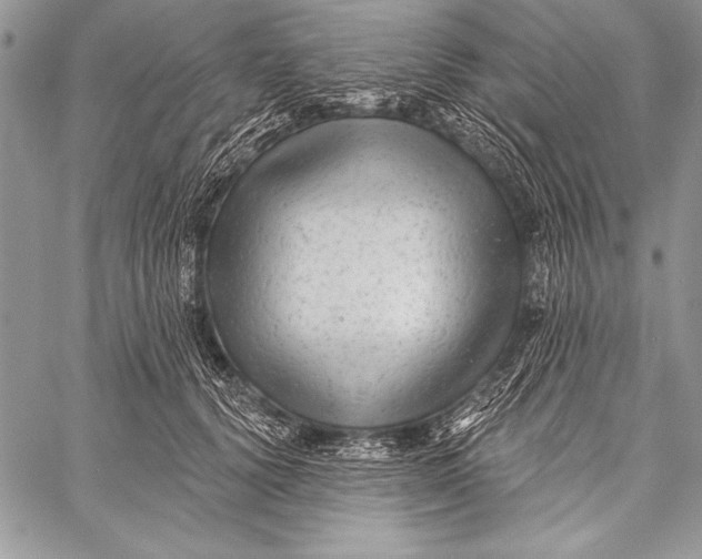 X0000058120656200510171311