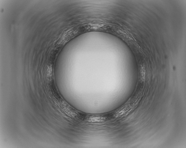 X0000058120657200510171311