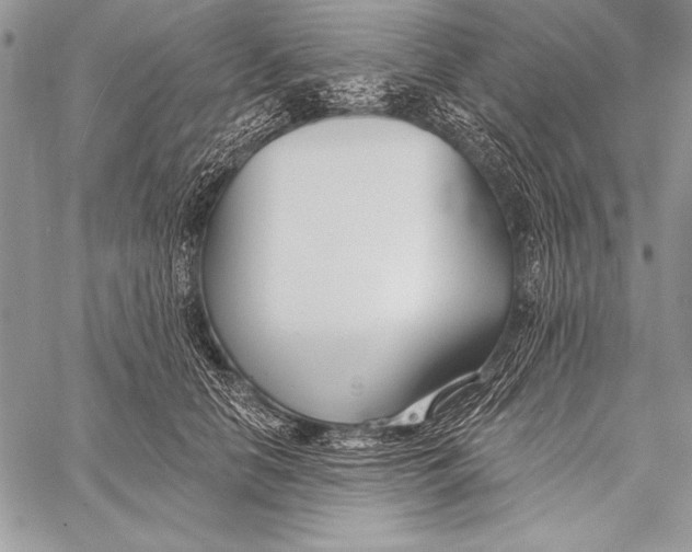 X0000058120658200510171311