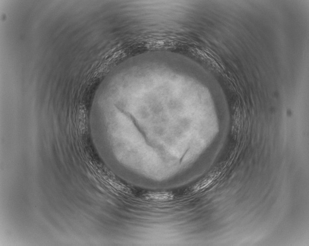 X0000058120659200510171311