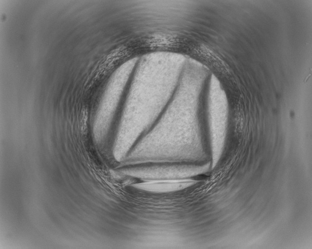 X0000058120660200510171311