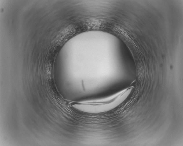 X0000058120661200510171311