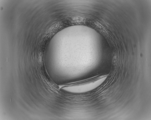 X0000058120662200510171311