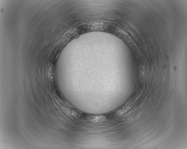 X0000058120663200510171311