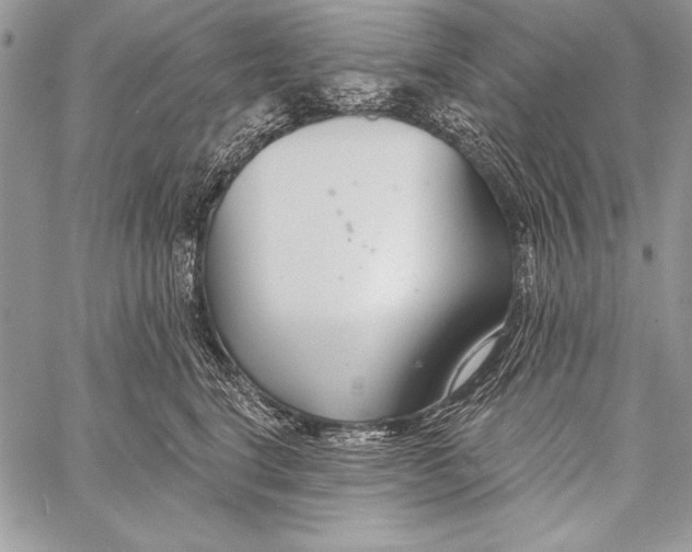 X0000058120664200510171311