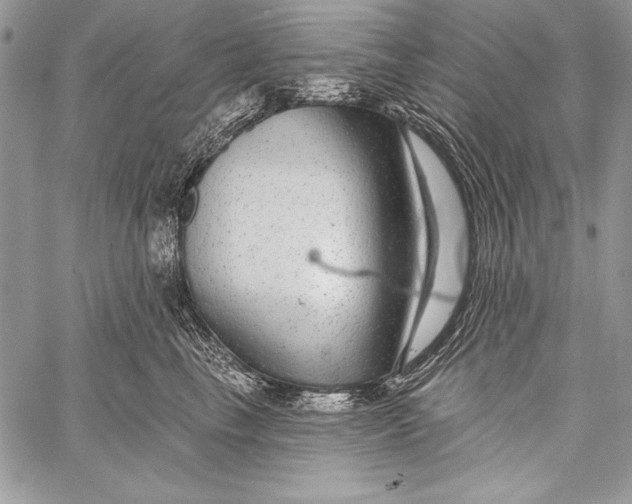 X0000058120665200510171311