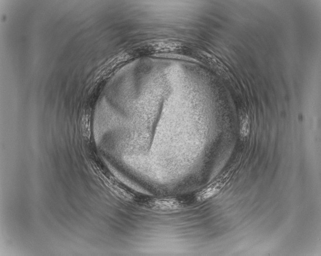 X0000058120666200510171311