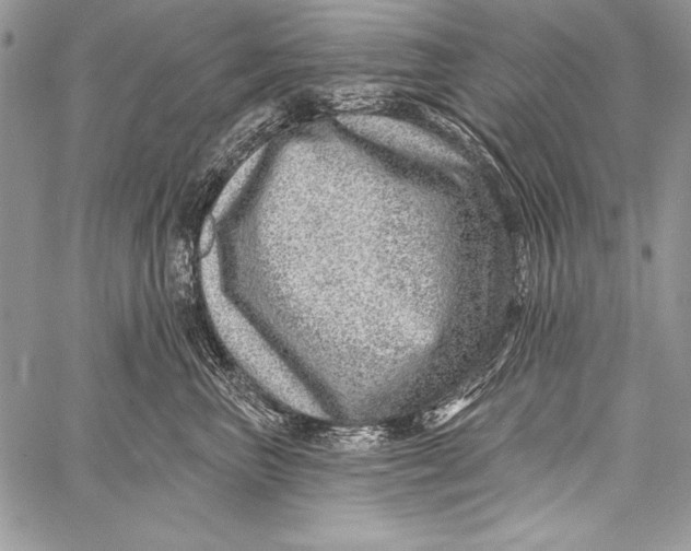 X0000058120667200510171311