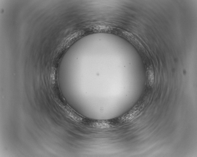 X0000058120668200510171311