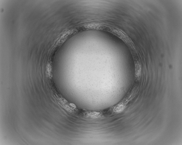 X0000058120669200510171312