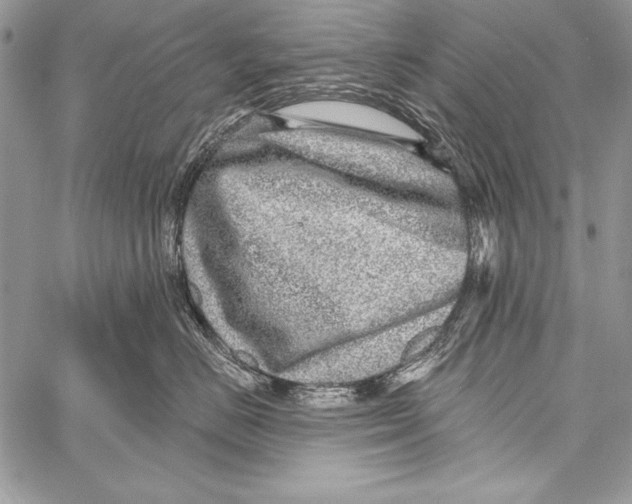 X0000058120670200510171312