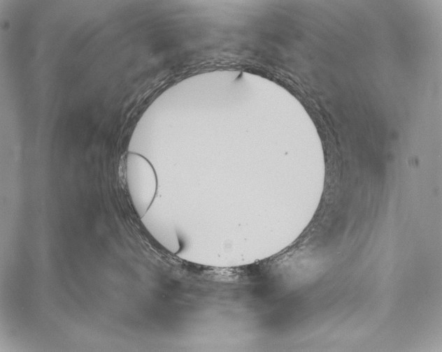 X0000058120672200510171312