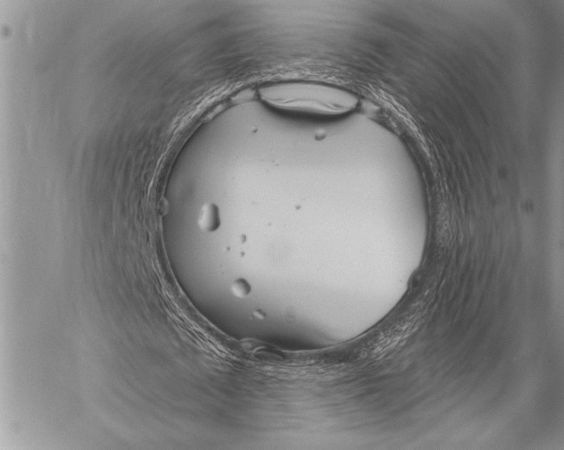 X0000058120673200510171311