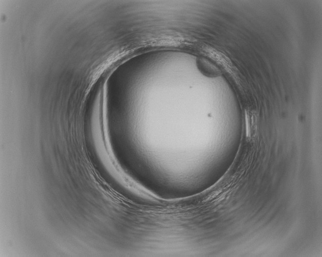 X0000058120675200510171311