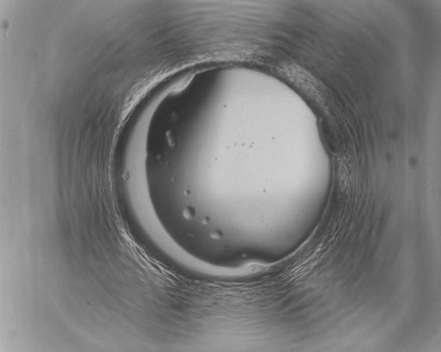 X0000058120676200510171311