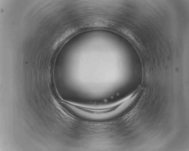 X0000058120677200510171311