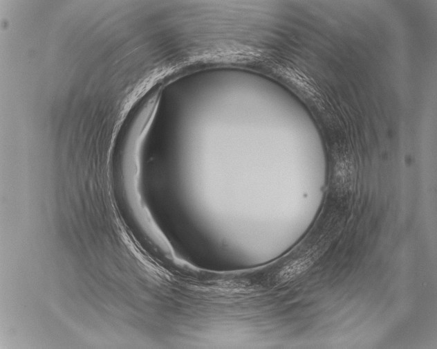 X0000058120678200510171311