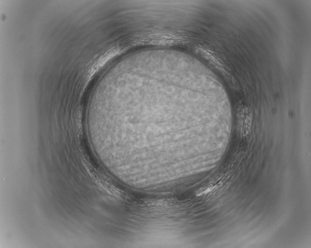 X0000058120679200510171311