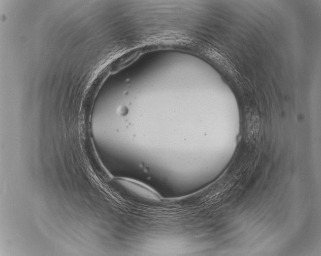 X0000058120680200510171311