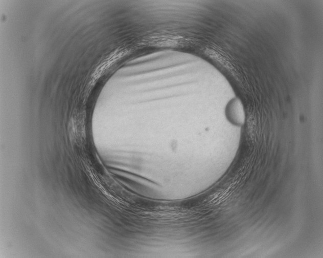 X0000058120682200510171311