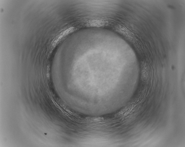 X0000058120683200510171311