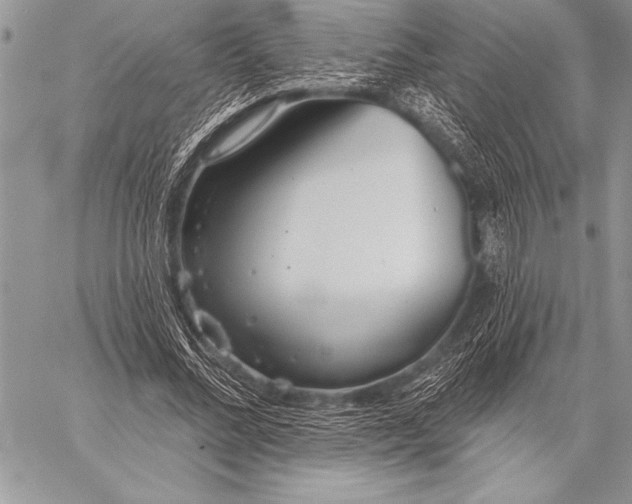 X0000058120684200510171311