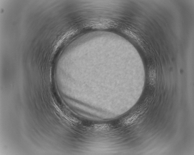 X0000058120686200510171310