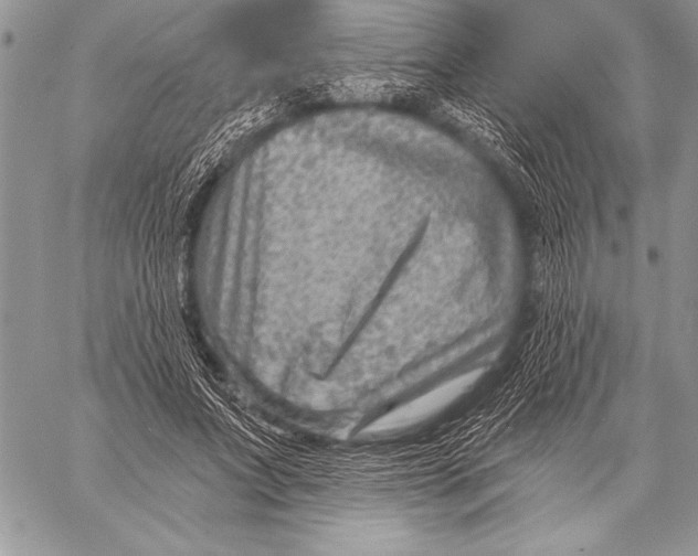 X0000058120687200510171310