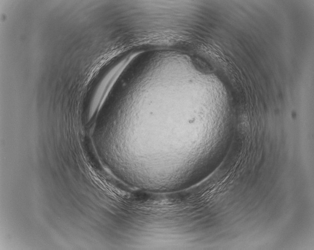 X0000058120688200510171310