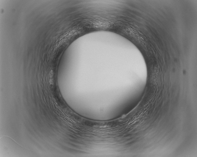 X0000058120689200510171310