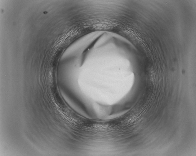 X0000058120690200510171310