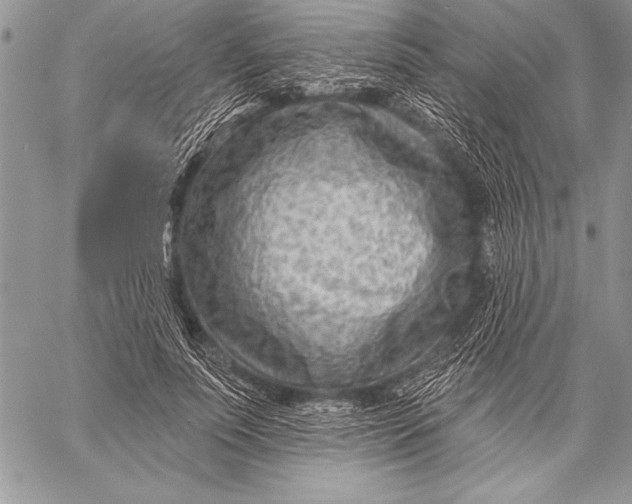 X0000058120691200510171310