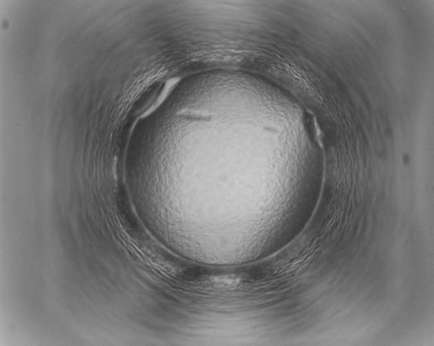 X0000058120692200510171310