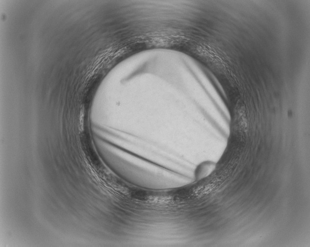 X0000058120694200510171310