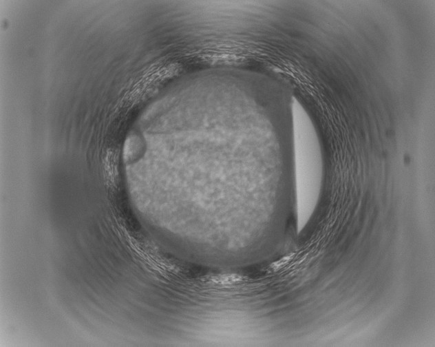 X0000058120695200510171310