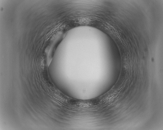 X0000058120697200510171310