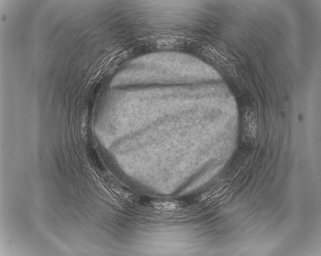 X0000058120698200510171310