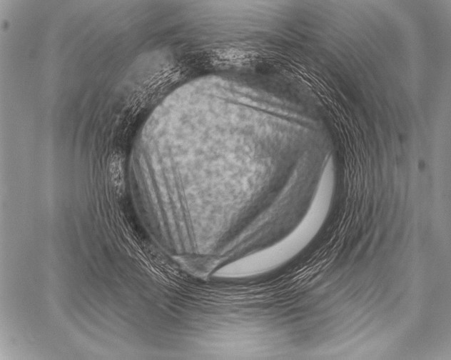 X0000058120699200510171310