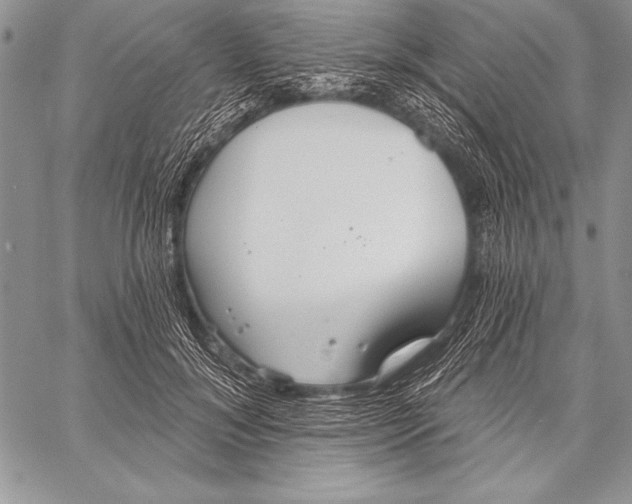 X0000058120700200510171310