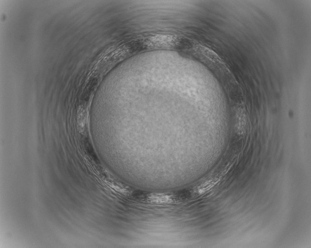 X0000058120701200510171310